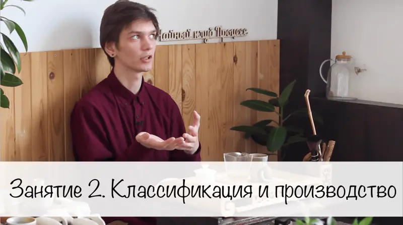 Занятие 2. Классификация и способы производства чая