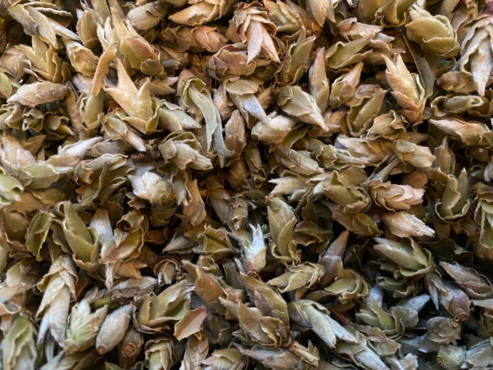 Белый чай: Почему его называют «лекарством от старости» и какой выбрать? Гид Чайного клуба Процесс