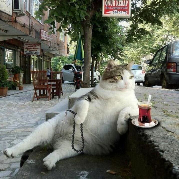 Можно ли обучиться чайному мастерству быстро? 5 простых советов