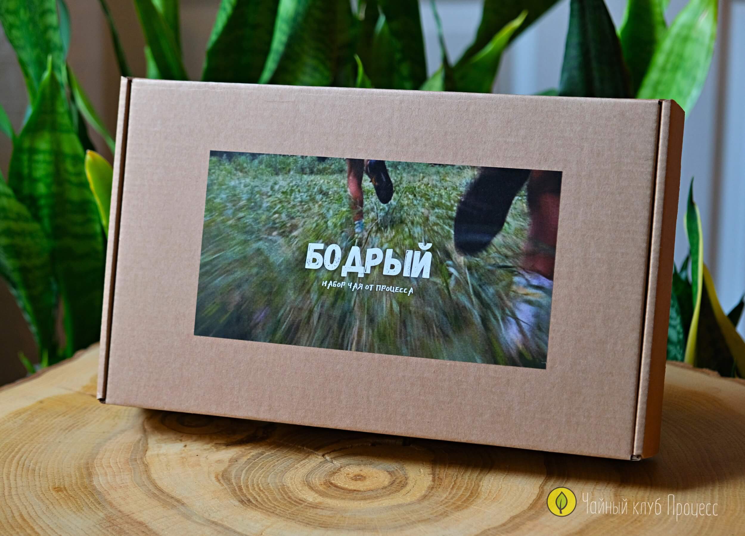Набор чая «Бодрый»  — сливочный шу пуэр «Пломбир», зелёный Люань Гуапянь и красный Гаошань Дянь Хун. Три чая, которые помогают включиться, держать ритм и завершить день спокойно. Набор чая «Бодрый»