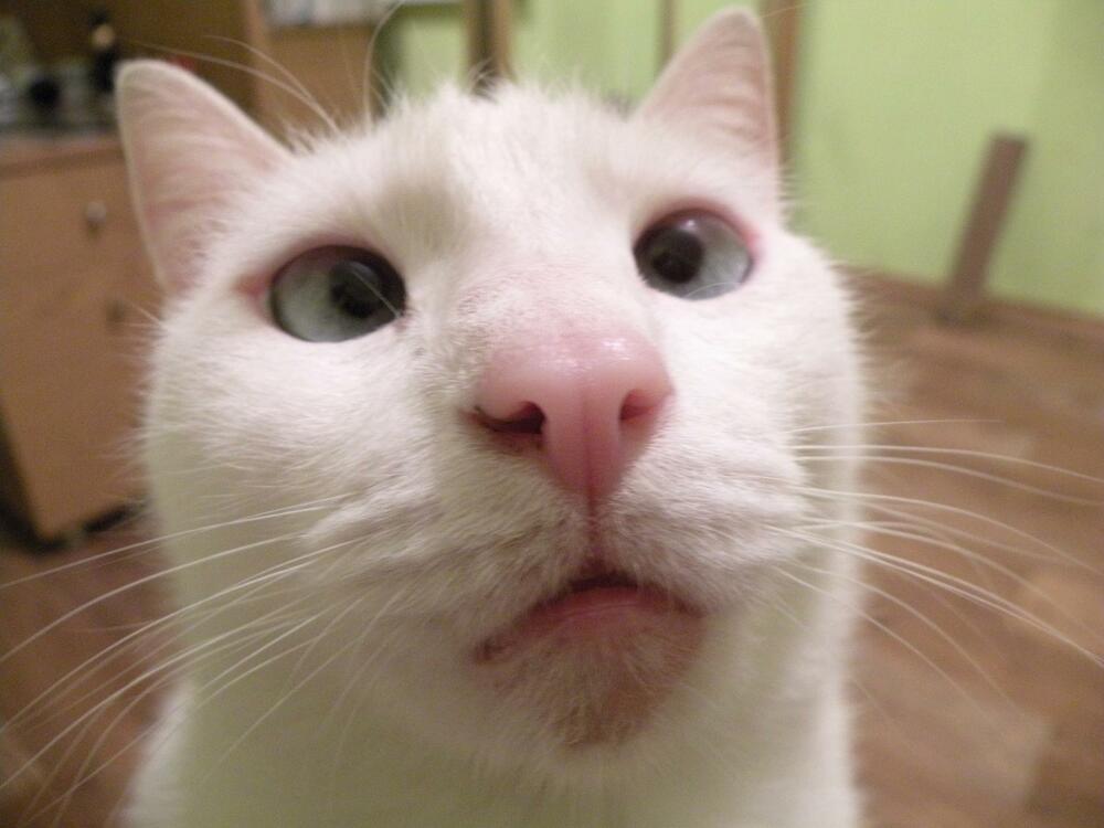 1000-f3f91aa0a577cf6d63043e6aa34f4748.jpeg 1000-f3f91aa0a577cf6d63043e6aa34f4748.jpeg