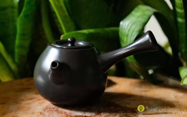 Чайник с боковой ручкой матовый