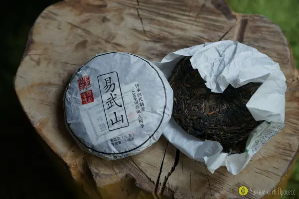 Шэн пуэр с молодых деревьев 2019 года